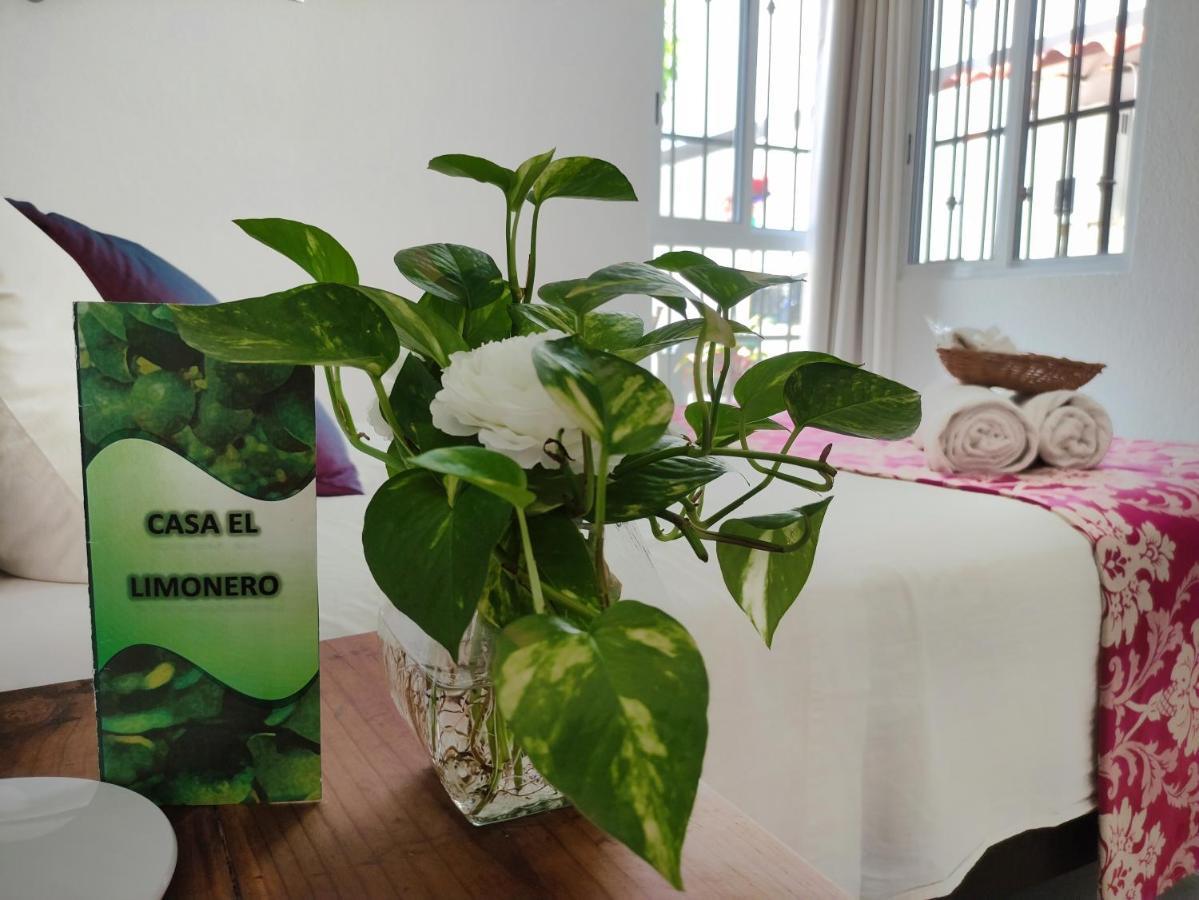 坎昆Casa El Limonero公寓 外观 照片